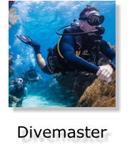 Divemaster